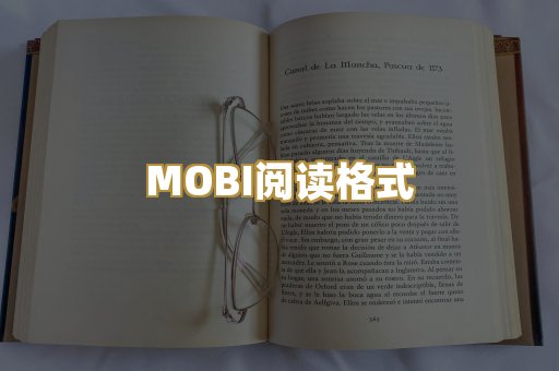 MOBI阅读格式